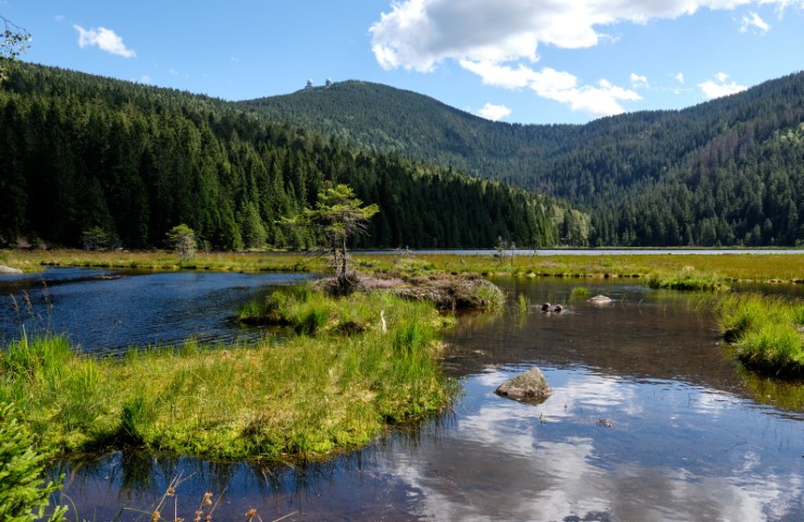 Arbersee im Sommer