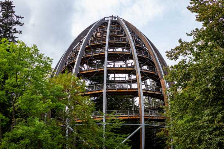 Baumwipfelpfad Bayerischer Wald